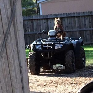 Meet your Posher, Jesse